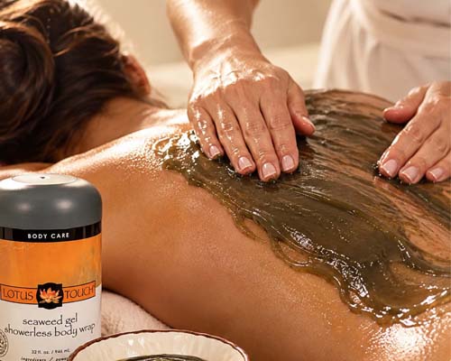 Body Wraps and Treatments Body Wraps and Treatments